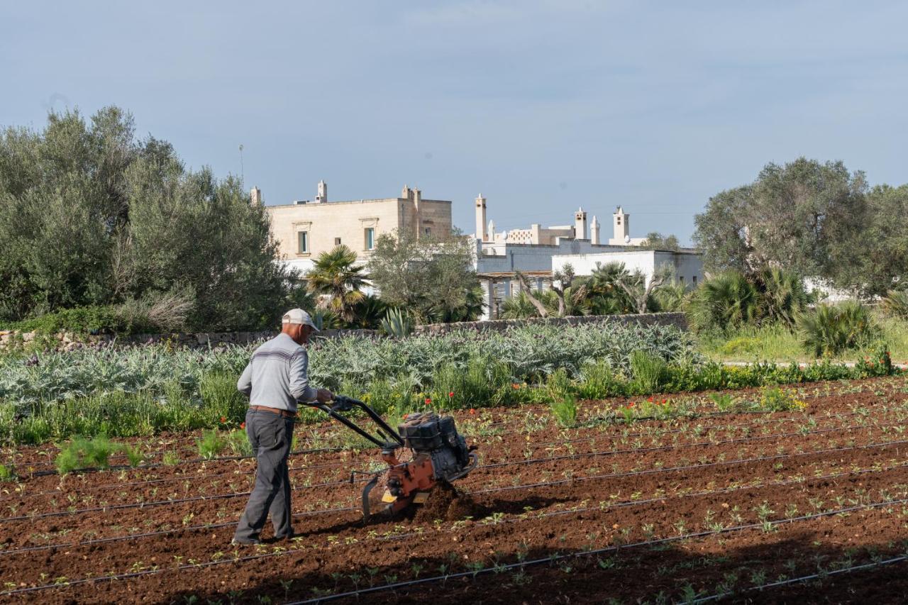 Masseria Palombara Relais & - Adults Only Manduria