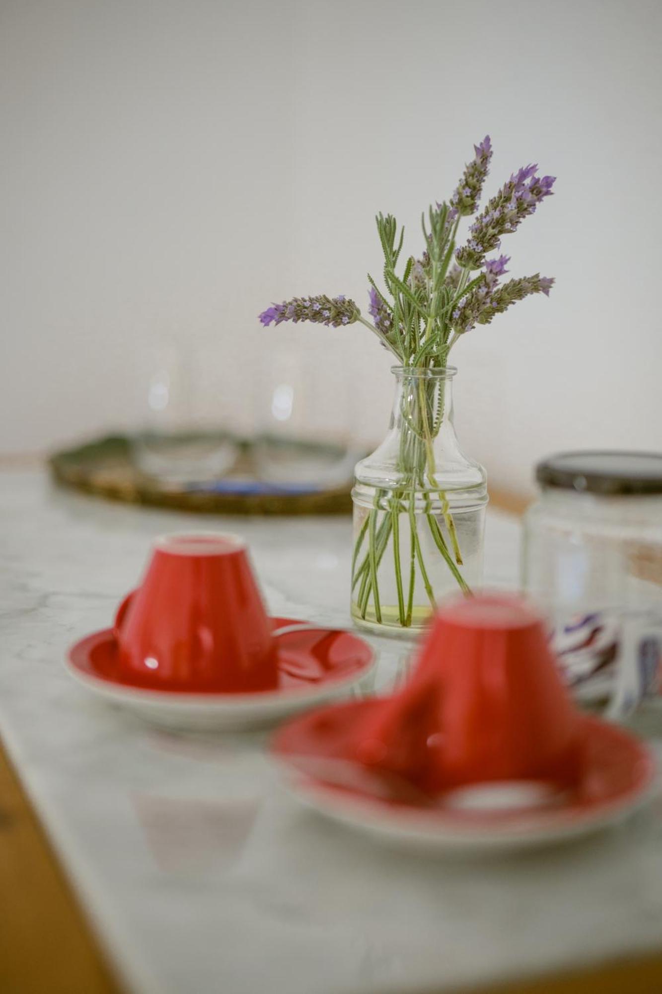 Farm stay Masseria Palombara Relais & - Adults Only